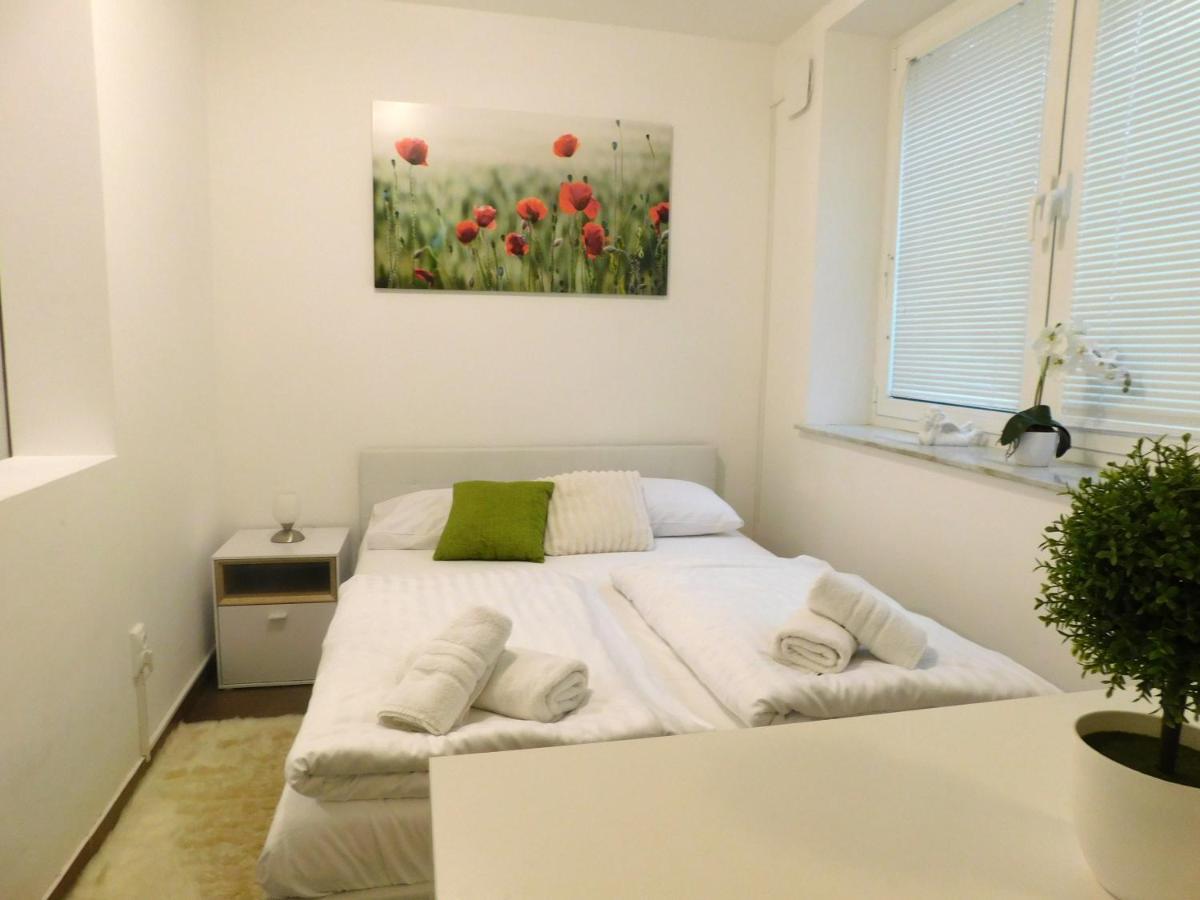 Apartmán Modern Center Studio Under The Castle - Free Parking Lublaň Exteriér fotografie