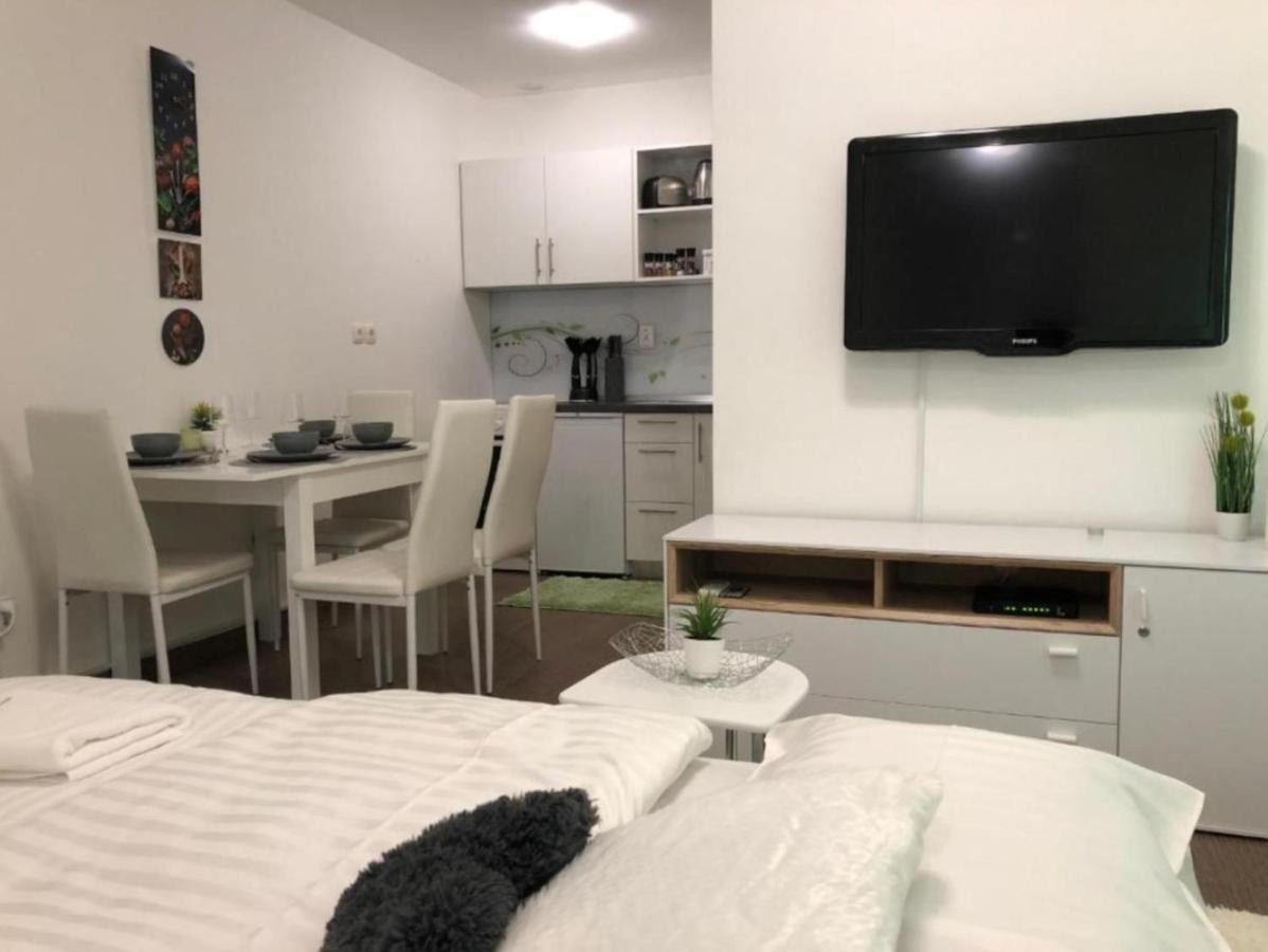 Apartmán Modern Center Studio Under The Castle - Free Parking Lublaň Exteriér fotografie